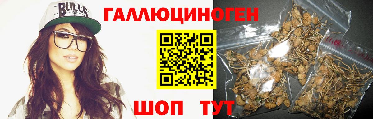 Братск  Псилоцибиновые грибы MAGIC MUSHROOMS  Галлюциногенные грибы MAGIC MUSHROOMS  Вход с VPN 